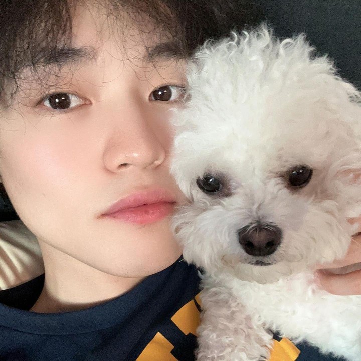 <p>Selain Ten, member NCT lainnya yang juga memiliki anabul adalah Chenle. Penyanyi berdarah China ini pernah berswafoto dengan anjing kesayangannya, bernama Daegal, jenis Bichon Frise. (Foto: Instagram @kh1000le)</p>