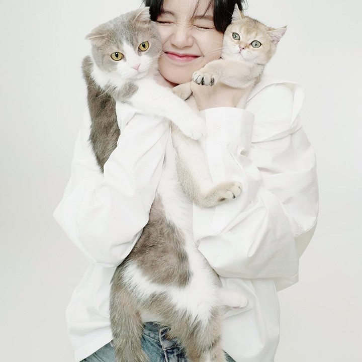 <p>Member BLACKPINK, Lisa, diketahui memiliki banyak hewan peliharaan yang ia sebut dengan 'L Family'. Mereka terdiri dari lima kucing dan satu anjing dobermann. Semua namanya berawalan L. Unik ya, Bunda. (Foto: Instagram @lalalalisa_m)</p>