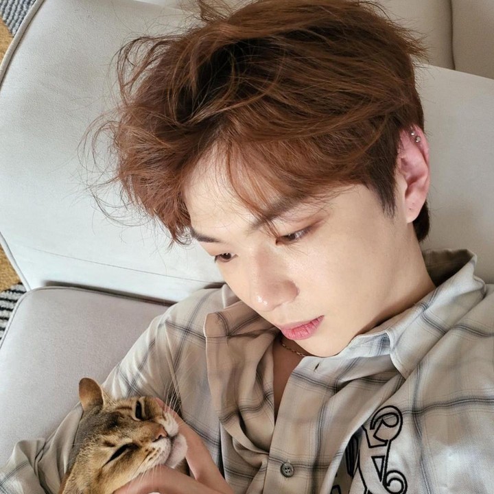 <p>Kemudian ada Kang Daniel, idol K-Pop yang kini menjabat sebagai CEO Koonect Entertainment. Ia memiliki empat kucing, yakni Rooney, Peter, Ori, dan Zhang-ah.  (Foto: Instagram @daniel.k.here)</p>