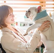 5 Alasan Drama Korea A Good Day to Be a Dog Menarik untuk Ditonton!