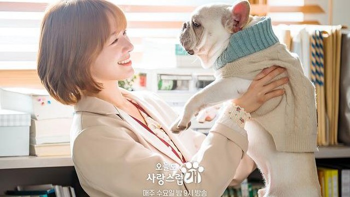 5 Alasan Drama Korea A Good Day to Be a Dog Menarik untuk Ditonton!
