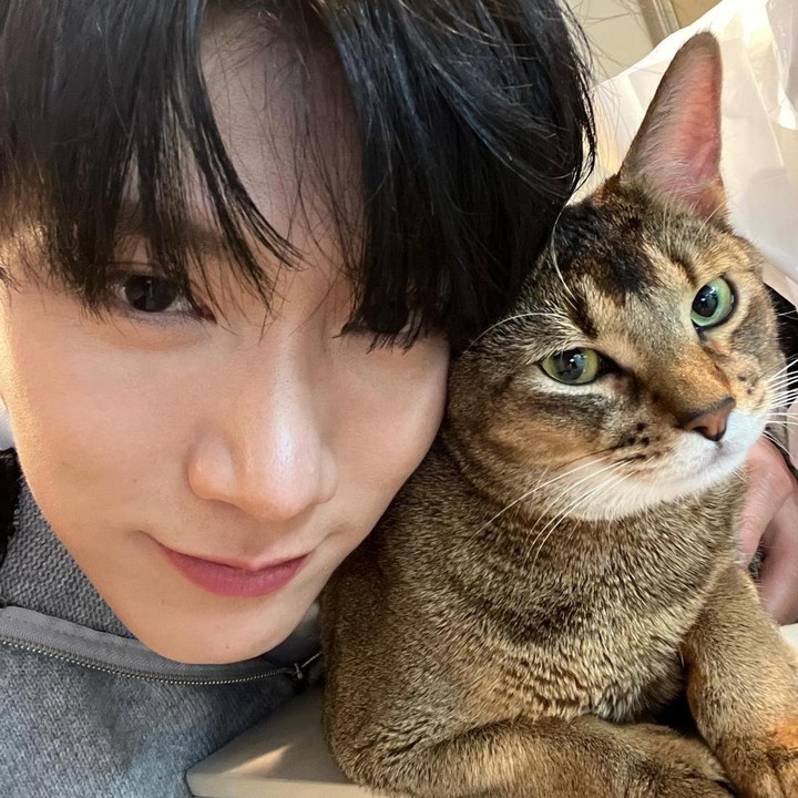 <p>Selanjutnya ada member NCT asal Thailand, Ten, yang mempunyai dua kucing, yakni Louis dan Leon. Dalam potret ini, Ten tampak menggemaskan saat berpose dengan Leon. (Foto: Instagram @tenlee_1001)</p>