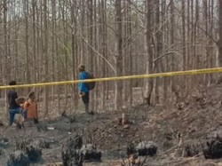 Lahan Perhutani Klaten Diduga Dibakar 2 Pria, RPH: 5 Hektare Terbakar