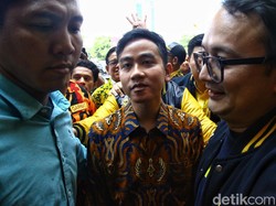 Golkar Bela Gibran yang Dianggap PDIP Membangkang: Dia Pemuda yang Berani