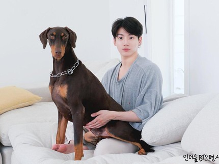 9 Potret Gemas Artis Korea dengan Hewan Peliharaannya, Anjing Milik Jungkook BTS Curi Perhatian