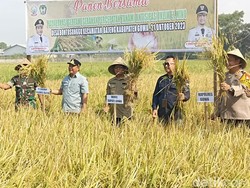 Bahtiar Pede Sulsel Masih Panen Padi Saat Kemarau, Dorong Pemanfaatan Gas