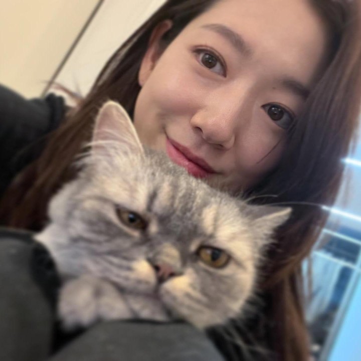 <p>Artis cantik Park Shin Hye dan sang suami, Choi Tae Joon, juga termasuk <em>cat lover</em>. Setelah menikah, keduanya membawa kucing peliharaan masing-masing. Dalam foto ini, Shin Hye tampak berswafoto bersama kucing abu-abunya. (Foto: Instagram ssinz7)</p>