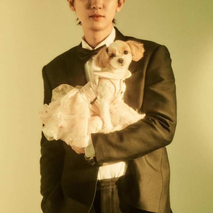 <p>Kemudian ada Park Chanyeol, <em>rapper</em> EXO, yang memiliki dua anjing peliharaan, yakni Toben dan Zzar. Dalam potret ini, sang idol terlihat berfoto dengan Zzar yang memakai kostum <em>princess</em>. Menggemaskan ya, Bunda. (Foto: Instagram real__pcy)</p>