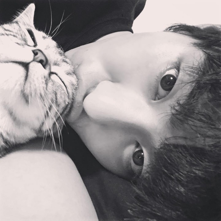 <p>Bintang drama Korea <em>Business Proposal</em>, Ahn Hyo Seop, memiliki kucing peliharaan bernama Ba Wool. Nama kucing tersebut terinspirasi dari nama Inggris sang aktor, yakni Paul Ahn. Foto: Instagram @imhyoseop)</p>