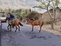 Viral Pria Berkuda Terobos Jalan Aspal yang Masih Basah
