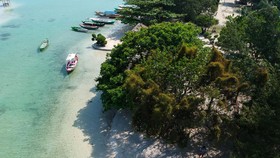 Mahasiswa IPB Hilang saat Penelitian di Pulau Sempu Malang