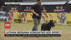 VIDEO: Latihan Bersama Komunitas Dog Sport