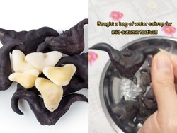 5 Fakta Water Caltrop, Kacang Tanduk Mirip Kelelawar yang Viral di TikTok