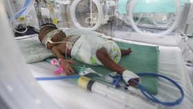 31 Bayi Prematur Dievakuasi dari RS Al Shifa Gaza Tanpa Keluarga