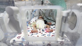 28 Bayi Prematur Tiba di Mesir Usai Dievakuasi dari RS Al Shifa Gaza
