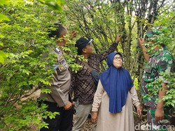 Keren! Lansia di Sukabumi Sukses Budidaya Anggur Brazil