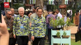 VIDEO: Jokowi Buka Suara Usai Dilaporkan ke KPK Soal Kolusi-Nepotisme