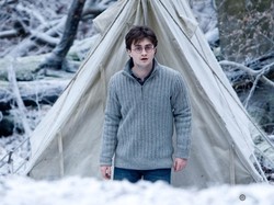 Adegan di Harry Potter Ini Butuh 95 Kali Take dengan 30 Kamera