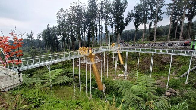 Pemerintah Diminta Kaji Izin Pembangunan Jembatan Kaca Tempat Wisata