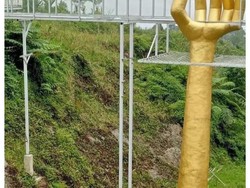 Kisah Mistis Hutan Pinus Limpakuwus Jembatan Kaca yang Pecah