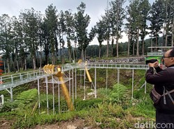 Kesaksian Wisatawan Saat Jembatan Kaca The Geong Pecah Tewaskan Wanita