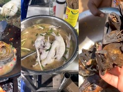 Masak Ekstrem Sup Tikus hingga Bocah Sembuh usai Makan Bebek Goreng