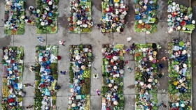 FOTO: Sensasi Belanja ala Penduduk Lokal di Pasar Vi Thanh Vietnam