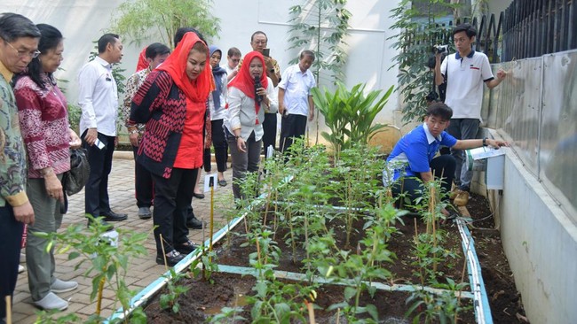 Inovasi teknologi pertanian itu termasuk teknologi pengatur suhu, teknologi sensor tanah, hingga aplikasi yang melayani jual beli hasil olahan urban farming.