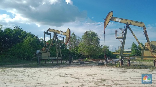 Pertamina Indentifikasi Temuan 'Bukan Migas Biasa' Jumlahnya Fantastis
