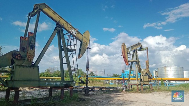 Ada Potensi 'Bukan Minyak Biasa' 11,3 Miliar Barel, di Sini Lokasinya