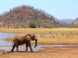 Hilang 3 Hari di Taman Nasional Zimbabwe, Turis Ditemukan Hidup