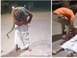 Viral Video Pria Mabuk Nyaris Tewas Dicekik Ular Piton Saat Selfie