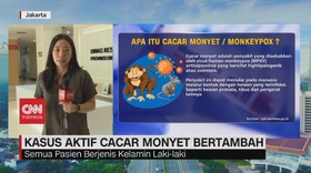 VIDEO: Kasus Aktif Cacar Monyet Bertambah