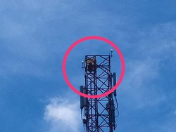 Frustasi Masalah Keluarga, Nenek di Aceh Timur Manjat Tower 72 Meter
