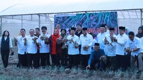 Walkot Semarang Ajak Masjid Jaga Ketahanan Pangan Lewat Urban Farming