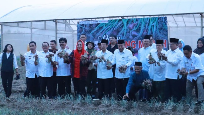 Pemkot Semarang menyatakan memberi dukungan terhadap masjid yang melakukan urban farming, antara lain berupa edukasi cara penanaman hingga panen.
