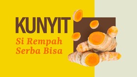 INFOGRAFIS: Kunyit, Si Rempah Serba Bisa