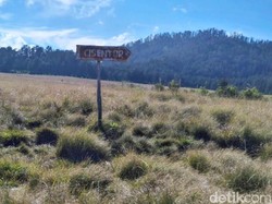Gunung Argopuro Kembali Ditutup Dampak Cuaca Ekstrem