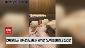 VIDEO: Keseharian Menggemaskan Ketiga Capres Dengan Kucing