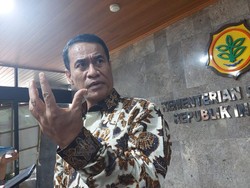 Perintah Jokowi ke Amran, Geber Produksi Beras