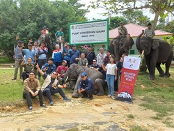 Jurus SKK Migas & Pertamina Hulu Rokan Jaga Populasi Gajah Sumatera