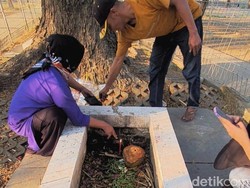 Ritual Warga di Makam Keramat Karebosi Makassar: Minta Kebaikan-Tunaikan Nazar