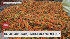 VIDEO: Cabai Rawit Naik, Emak-Emak 'Menjerit'