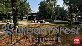 FOTO: Sejenak Melepas Penat di Urban Forest Cipete
