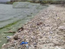Jorok! Pantai Kalaki Bima Penuh Sampah-Air Warna Hijau