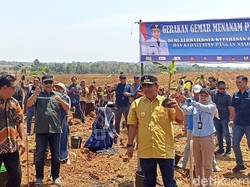Pemprov Sulsel Ajak Perguruan Tinggi Bikin Riset Batang Pisang Jadi Pembalut