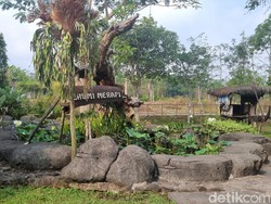 7 Agrowisata di Jogja yang Menarik dan Cocok untuk Liburan