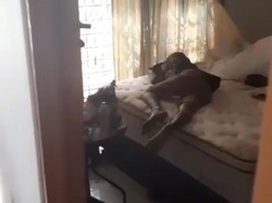 Viral Maling Ketiduran di Rumah Kosong di Jakut hingga Dibangunkan Polisi