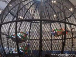 Saat Motor Listrik Menaklukkan Globe of Death