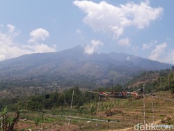 Bangkai Kijang hingga Monyet Ditemukan di Lokasi Kebakaran Gunung Merbabu